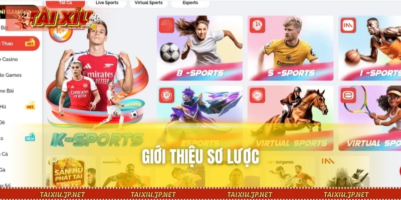 Giới thiệu sơ lược