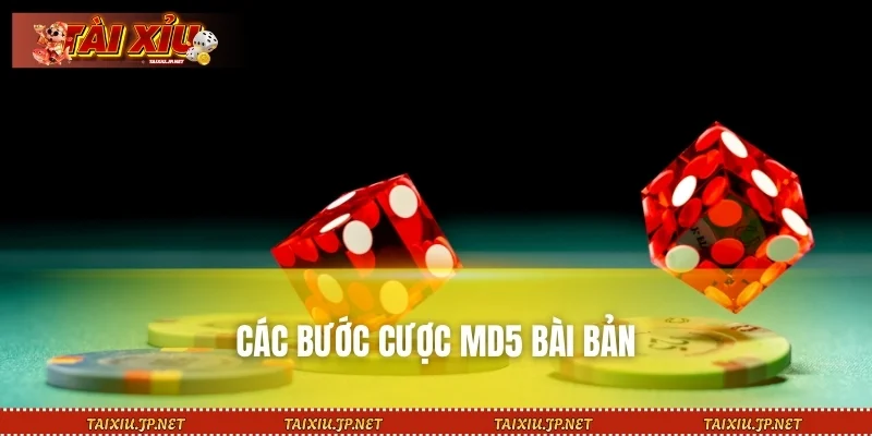 Các bước cược MD5 bài bản